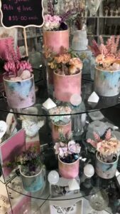 Read more about the article Pots of Love 
 AOK Specialty Gifts  
www.aokspecialtygifts.com.au
151 High Street Shepparton
Monday 10am – 4:30pm
Tuesday- Friday 9am – 5pm
Saturday 9am -4pm
CLOSED Public Holidays
 03 58215974 
GO H…